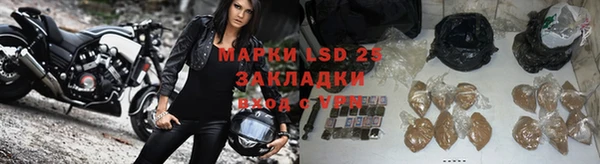 ГАЛЛЮЦИНОГЕННЫЕ ГРИБЫ Покровск