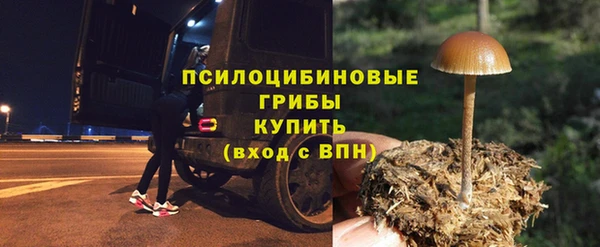 метадон Арсеньев